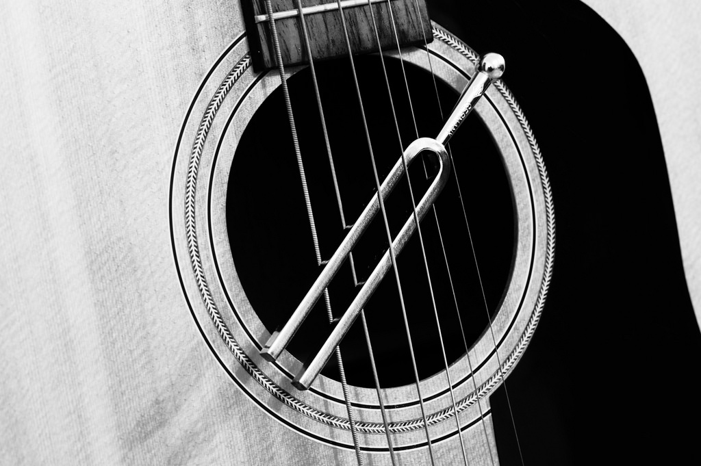 ÄÄNIRAUTA emjoy music viritin photopin